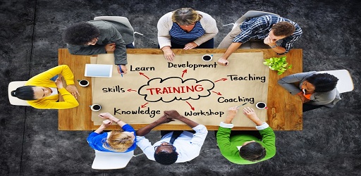 Training & Development